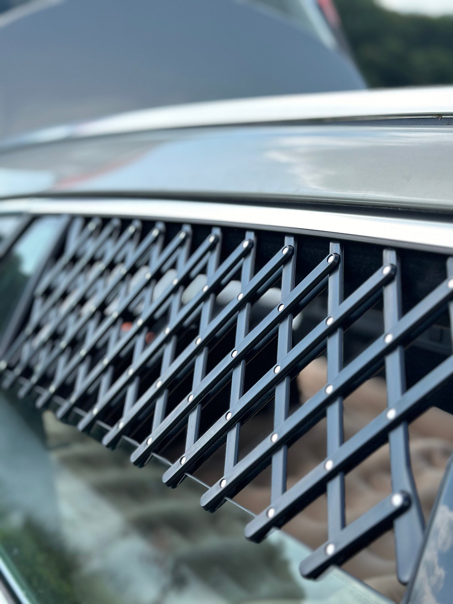 Car Window Grille x2