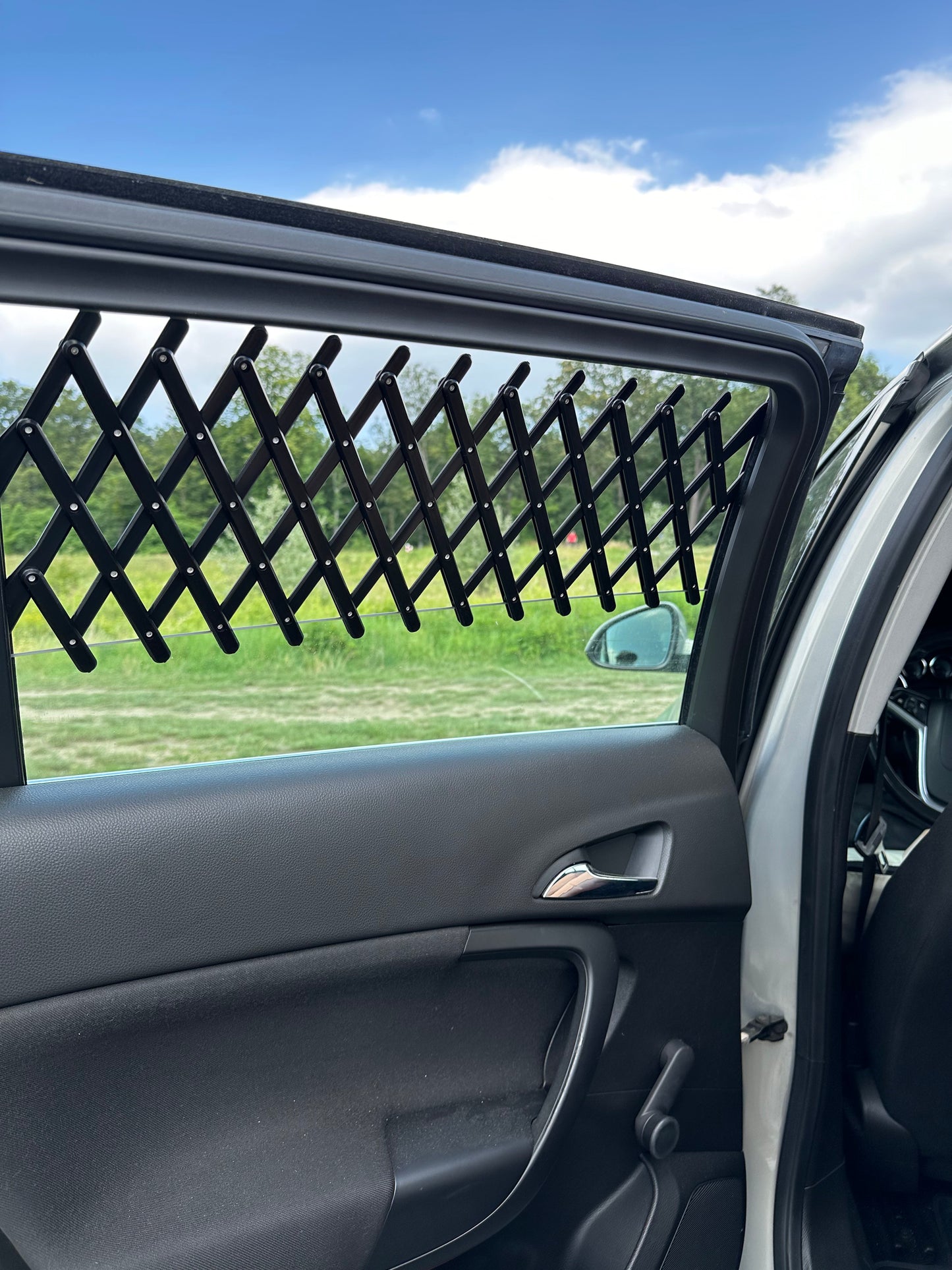 Car Window Grille x2