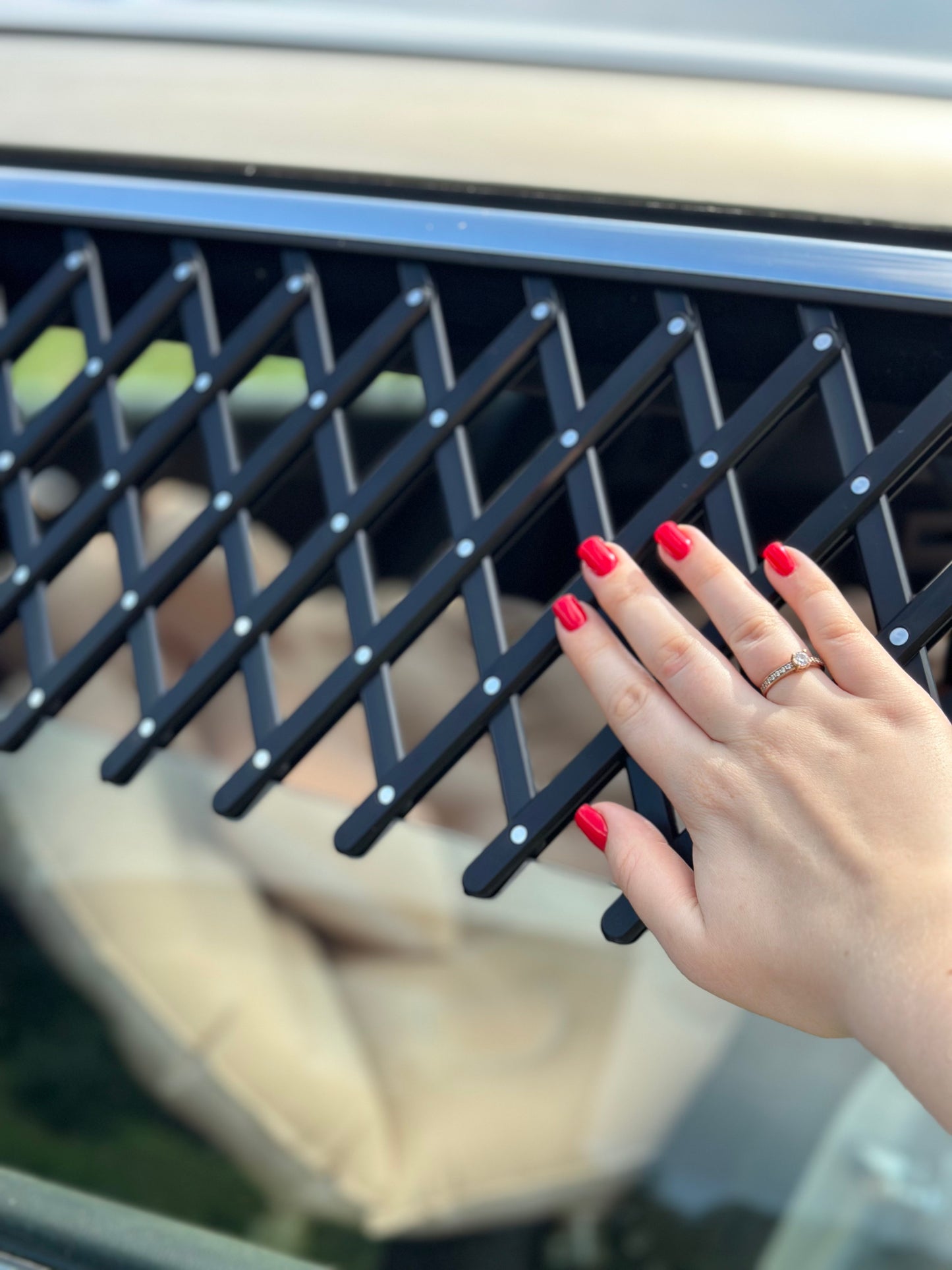 Car Window Grille x2